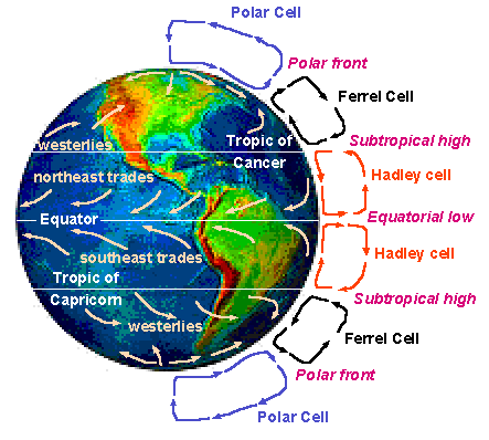 Ferrel cell  Atmospheric Circulation, Global Wind Patterns & Jet