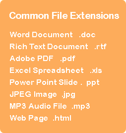 Common File Extensions